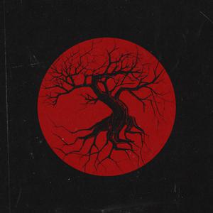 李璐璐外网视频在哪看
