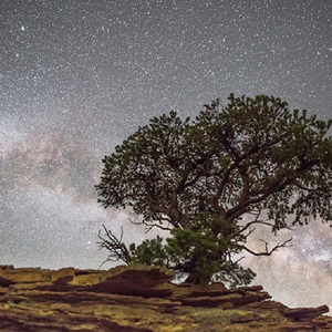 李璐璐外网视频在哪看
